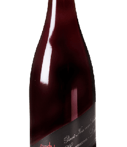 Weingut Heymann-Löwenstein Pinot Noir Schiefenterrassen