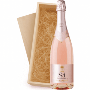 Geschenkkist 1-fles Louis de Grenelle Rosé Si Irresistible