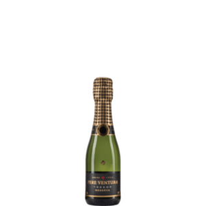pere-ventura-tresor-cava-gran-reserva-20cl