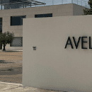 Bodegas Avelino Vegas