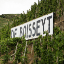 Vignoble de Boisseyt