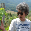 Castello dei Rampolla