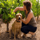 Domaine Felines Jourdan